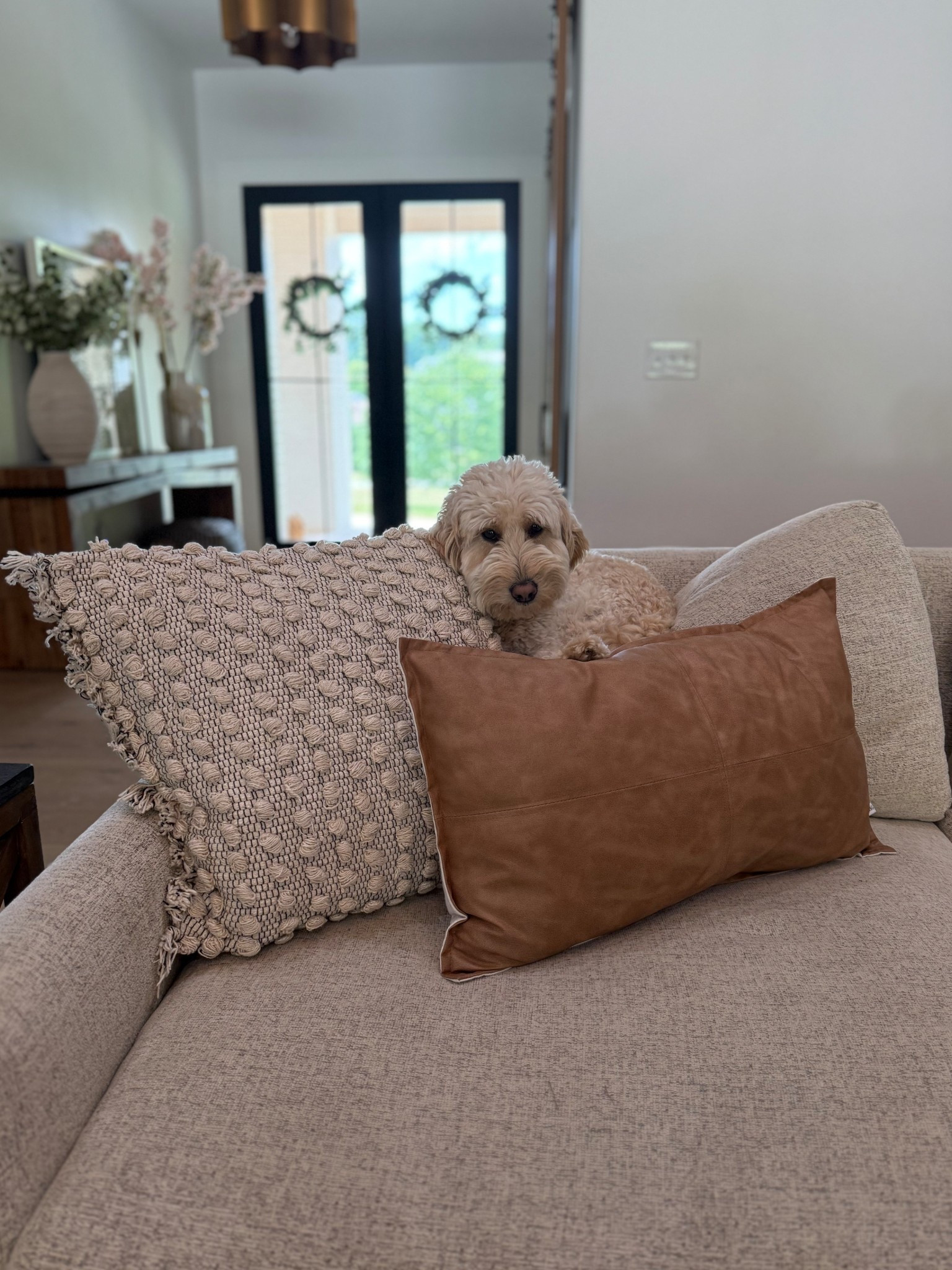 Pillows so good even Banks loves them!

#walmart #walmartfinds #homedecor

#LTKHome #LTKFamily #LTKStyleTip