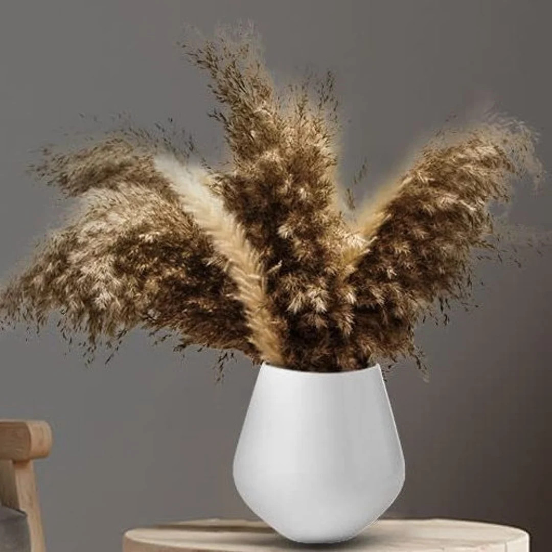 Natural Dried Pampas Grass | 10 Pcs Natural & 10 Pcs White Pampas Fluffy Stems Dried Pompous Bouq... | Etsy (US)