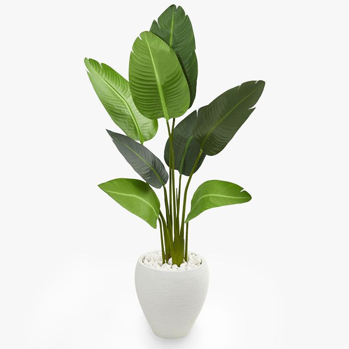 Travelers Artificial Palm Tree | Pottery Barn Teen