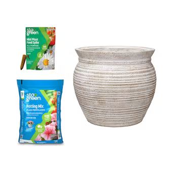 Shop allen + roth allen + roth White Wash Terracotta Planter,  Potting Mix and  Mini Plant Food S... | Lowe's