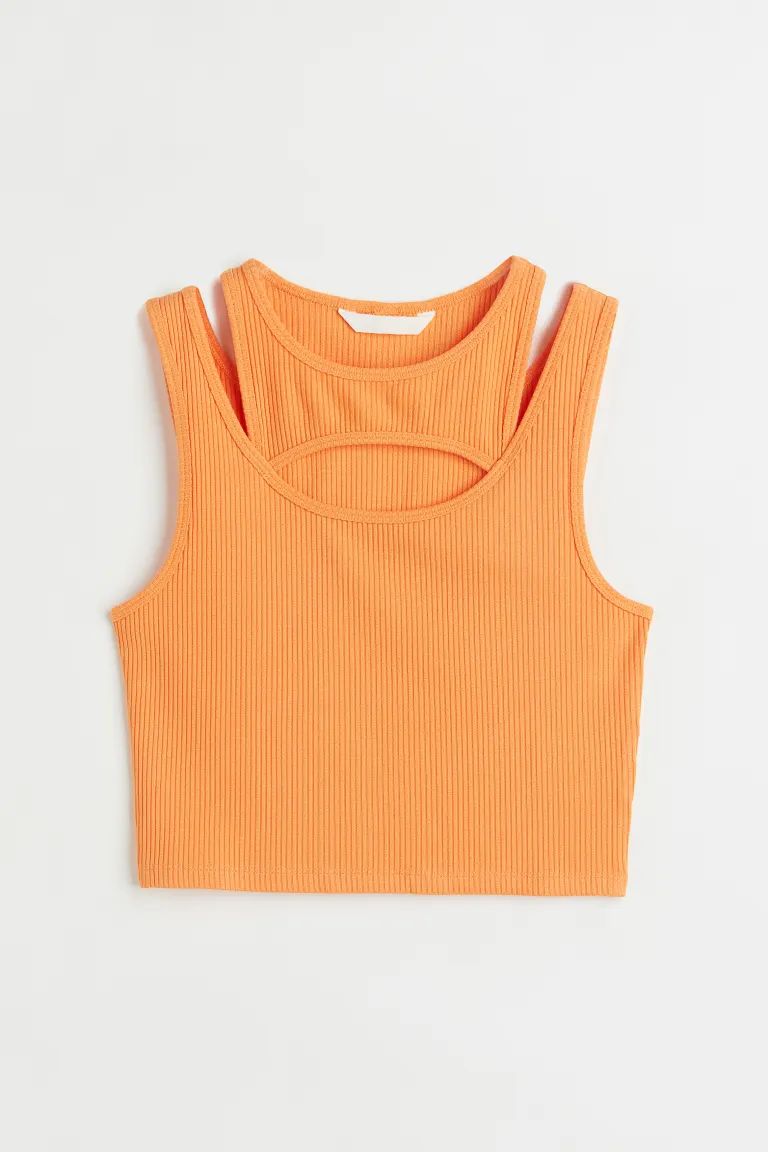 Double-layered Crop Top | H&M (US + CA)