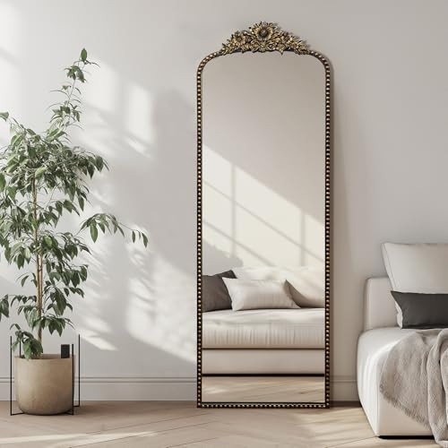 IPOUF Full-Length Baroque Style Vintage Mirror, 65"L x 22"W, Wall-Mounted, Antique Black Iron Frame, Thick 4MM Glass, Explosion-Proof, Living Room, Bedroom, Entryway | Amazon (US)