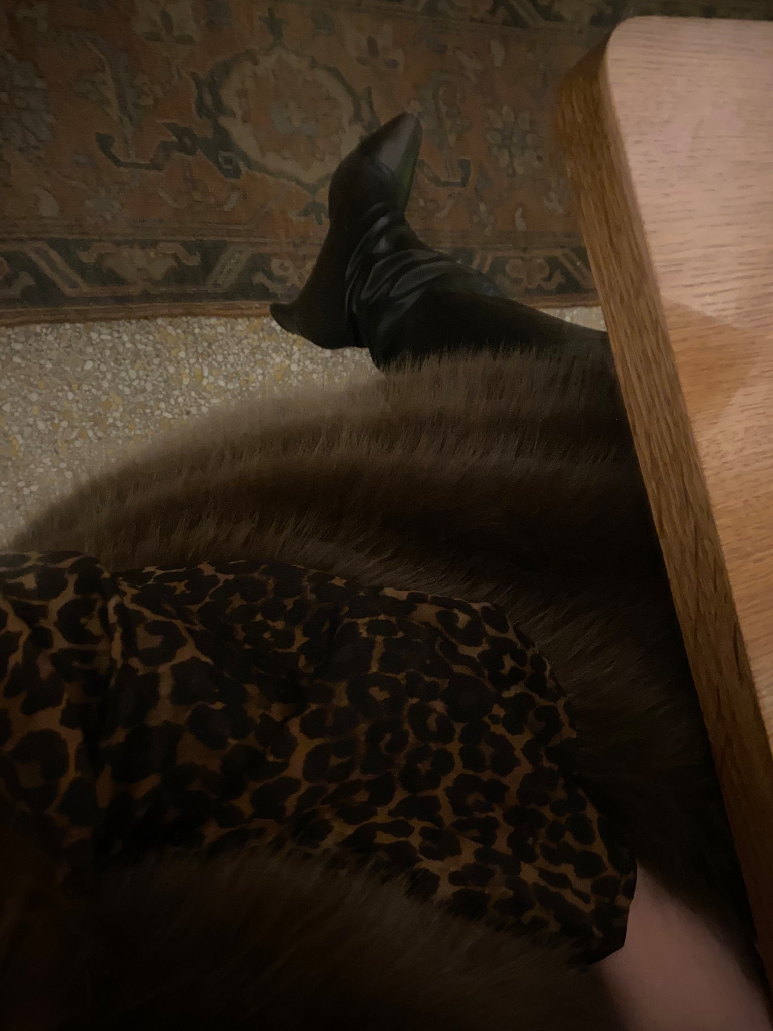 Winter Chic Night out outfit

#LTKdayinmylife #LTKGiftGuide #LTKHoliday