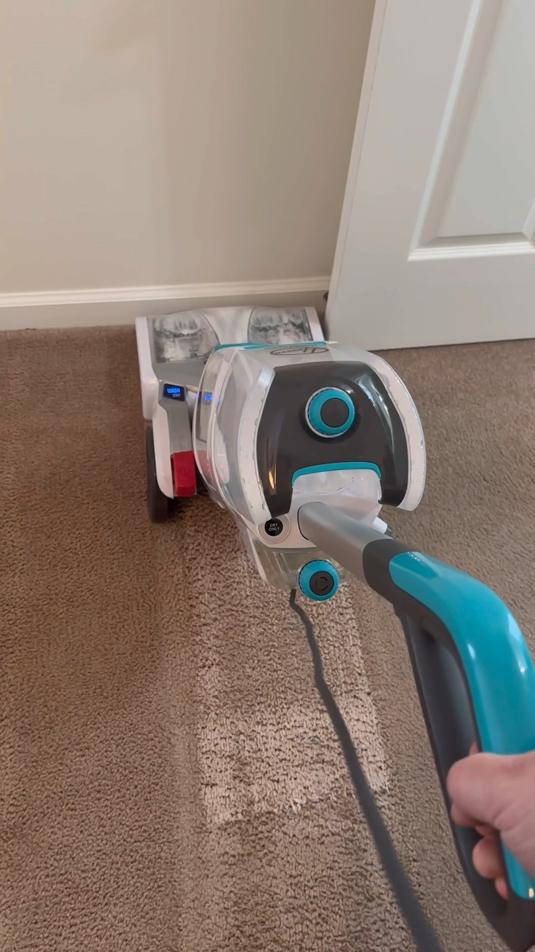 Happy Sunday friends! I’m spending mine getting some deep cleaning done. I have owned the Hoover carpet cleaner for almost 6 months now and it still wows me everytime. It’s on sale right now and I think it’s a total game changer for carpeted homes  

#LTKVideo #LTKHome #LTKSaleAlert