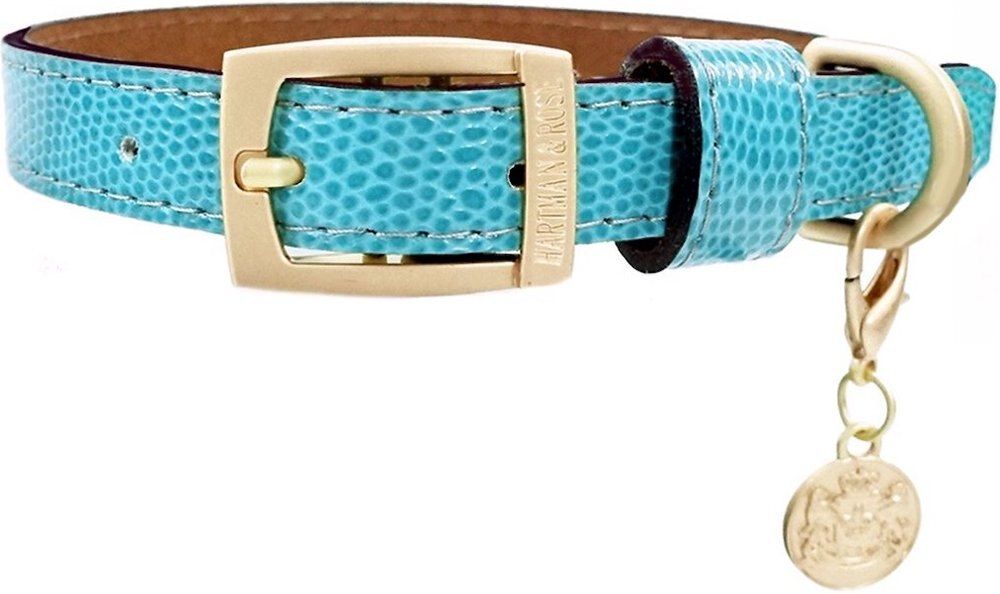 Hartman & Rose Park Avenue Leather Dog Collar, Teal, Medium: 13 to 16-in neck, 1-in wide | Chewy.com