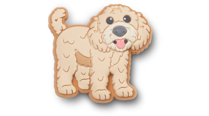 Golden Doodle Puppy | Crocs (US)