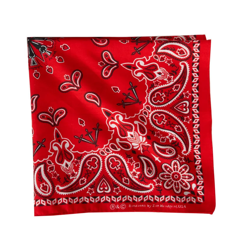 ZANHeadgear Red Paisley Premium Bandana | Academy Sports + Outdoors