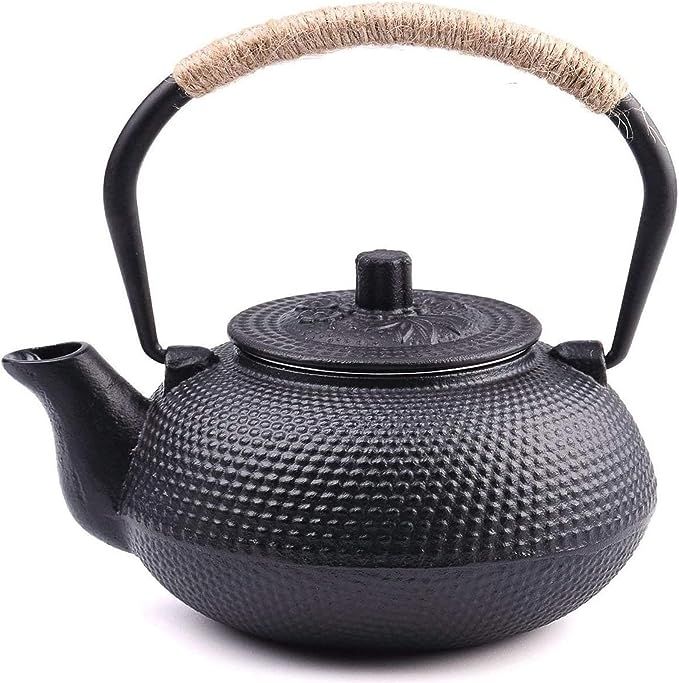 Suyika Japanese Tetsubin Cast Iron Teapot with Enameled Interior (650ml) | Amazon (US)