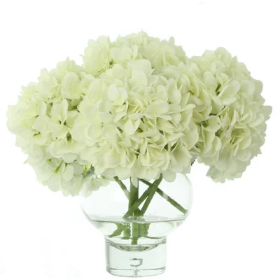 Hydrangea Floral Arrangement in Vase Latitude Run® Flowers Color: White | Wayfair North America