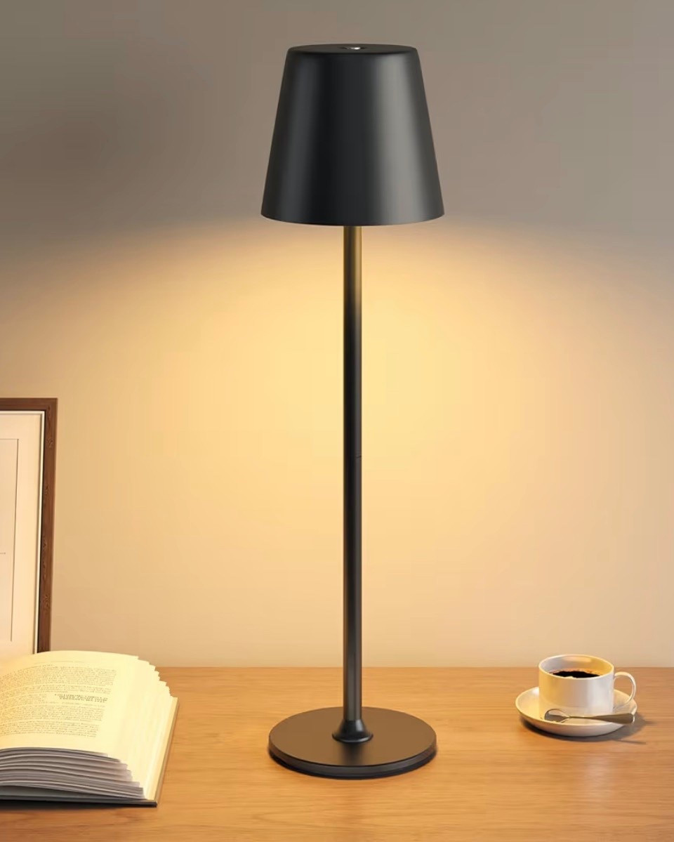 Bargain Cordless Lamp 