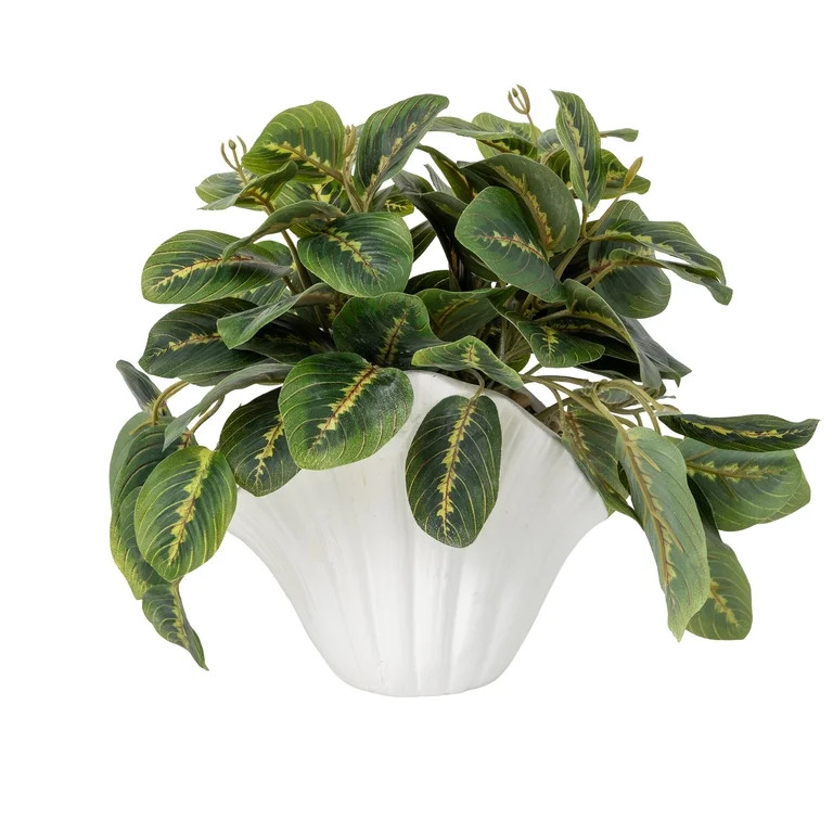 Mainstays Artificial Maranta in White Ceramic Shell Vase, 9" | Walmart (US)