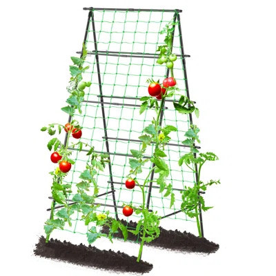 Garden Trellis For Climbing Plants Outdoor, 31.5X70.8 Inch Metal A-Frame Cucumber Trellis Raised Bed, Climbing Plant Support Vine Fruit Flower Vegetab | Wayfair North America