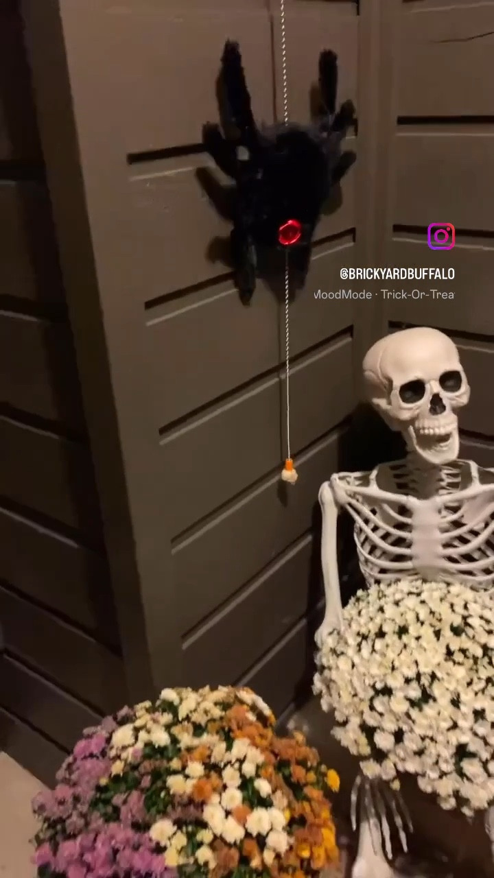 Our crawling spider is back and the best $15 ever spent! Grab him before he’s gone - he sells out every year! 

#LTKFallSale #LTKKids #LTKSaleAlert