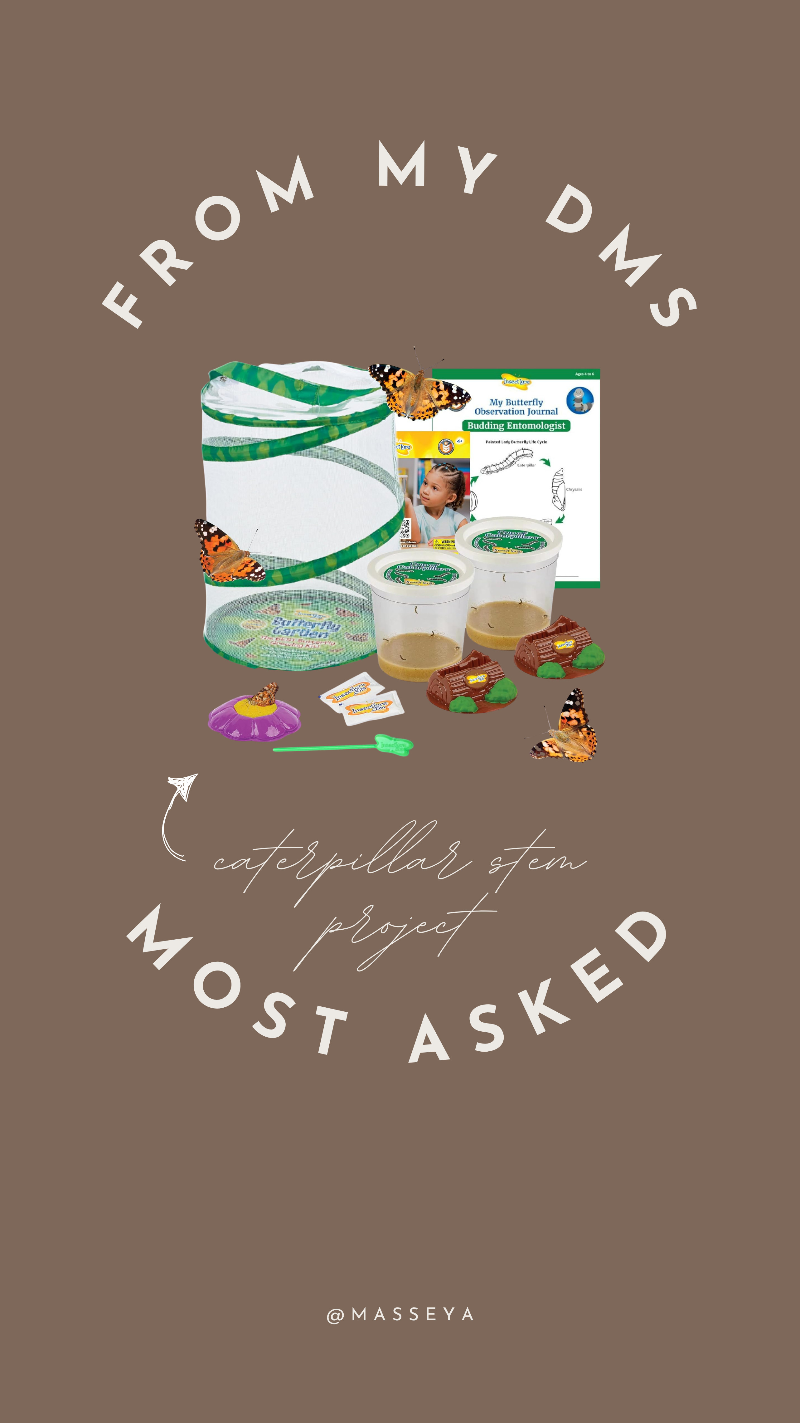 caterpillar stem project! 

amazon finds, kids activities 

 #LTKSeasonal