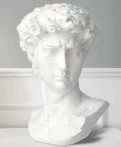 11.8inch Height David Greek Statue Roman Goddess Bust Mythology Sculpture for Home Decor | Amazon (US)