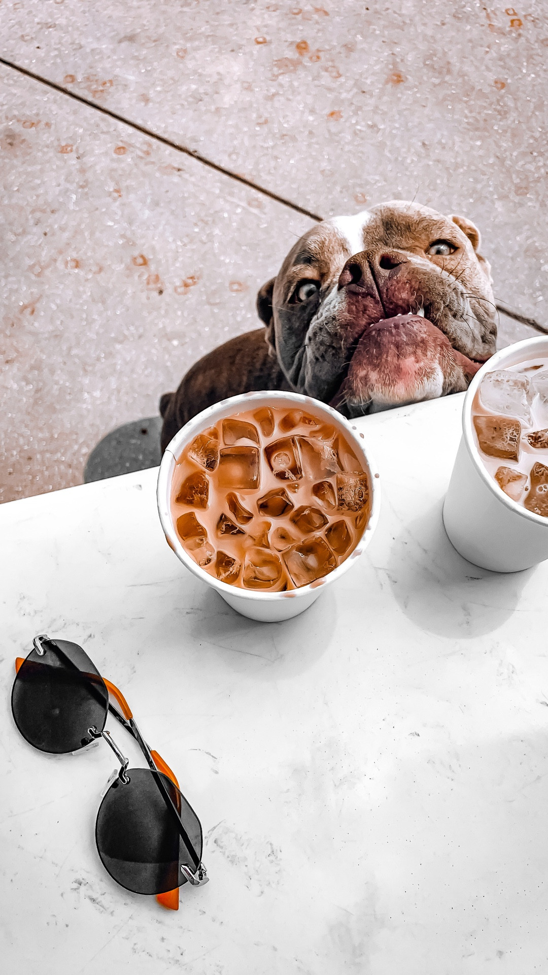 Some of our fav heavy duty dog coats! #LTKpets #LTKdogs #LTKpetcare

#LTKHome