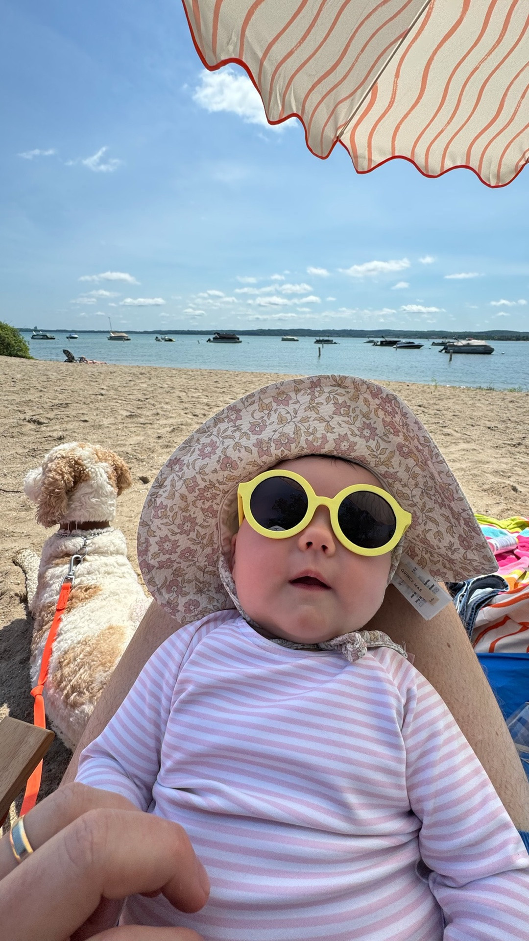 Baby girl swim outfit + baby beach essentials

#LTKKids #LTKBaby #LTKSwim