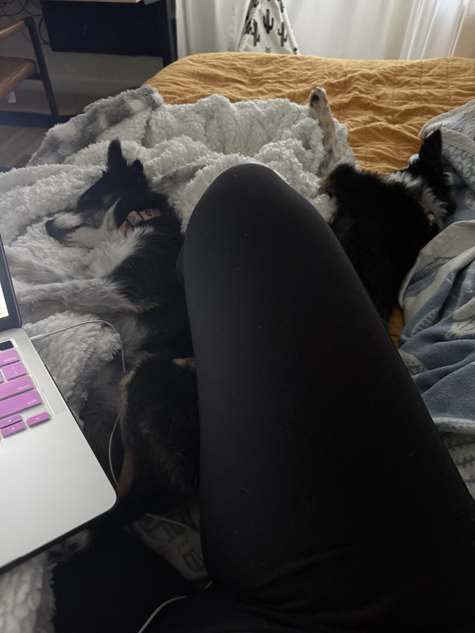 I had great hope for 2026, but the first week has had me down and out with a virus like I have never experienced. I’d even say it is worse then the vid. Stay healthy friends. 

#LTKdayinmylife #LTKstorytime #LTKPetite