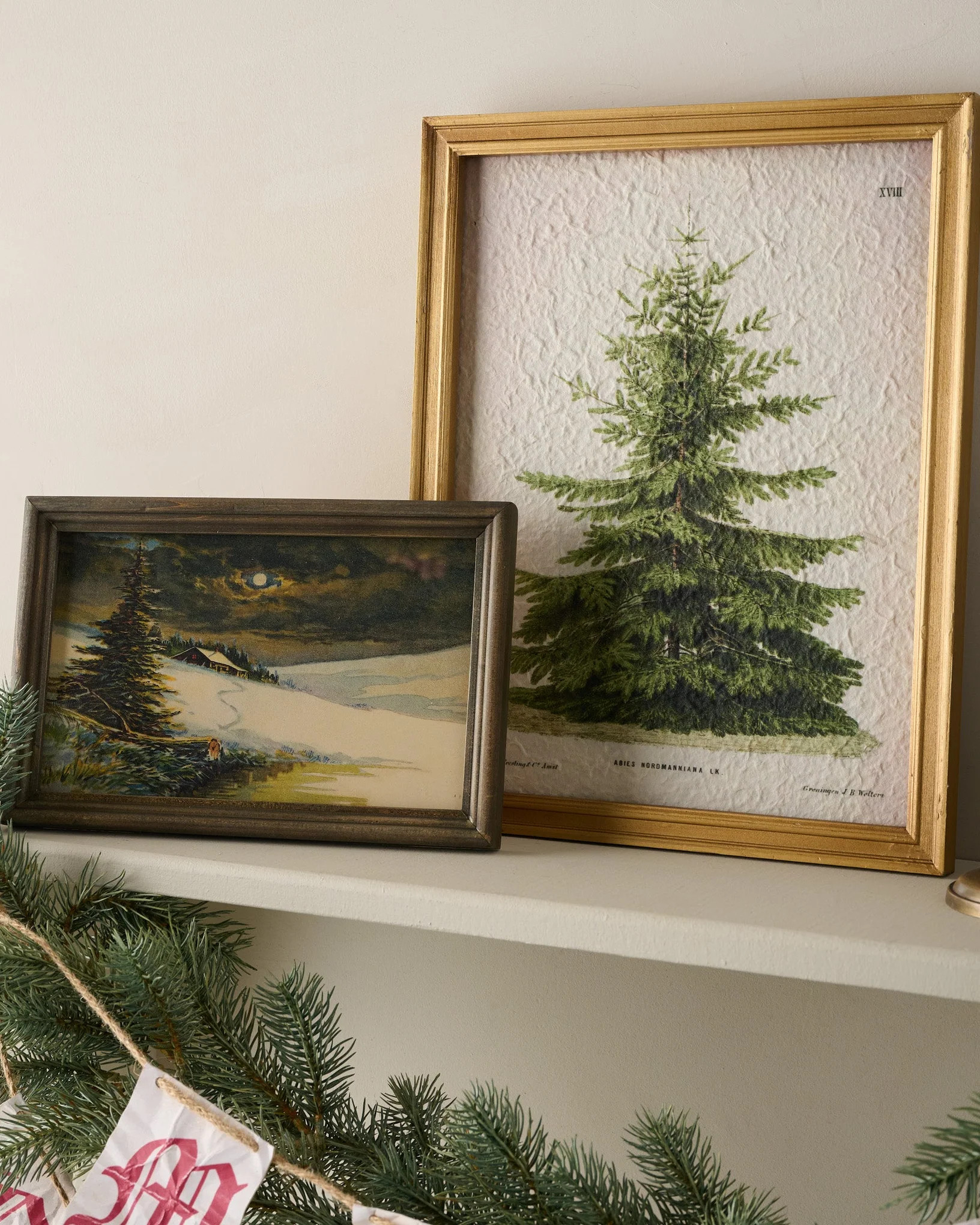 Vintage Christmas Fir Print | Magnolia