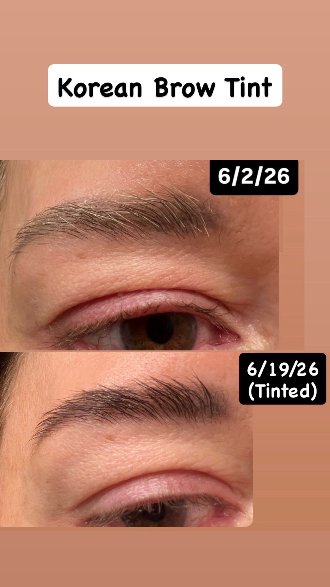 I used the color brown.