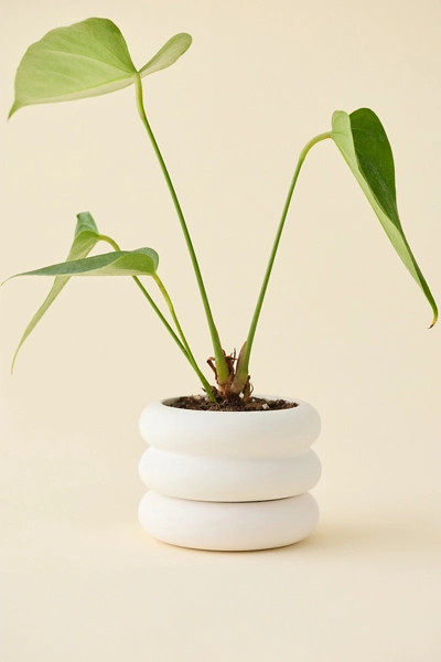 Areaware Mini Stacking Planter | Urban Outfitters (US and RoW)