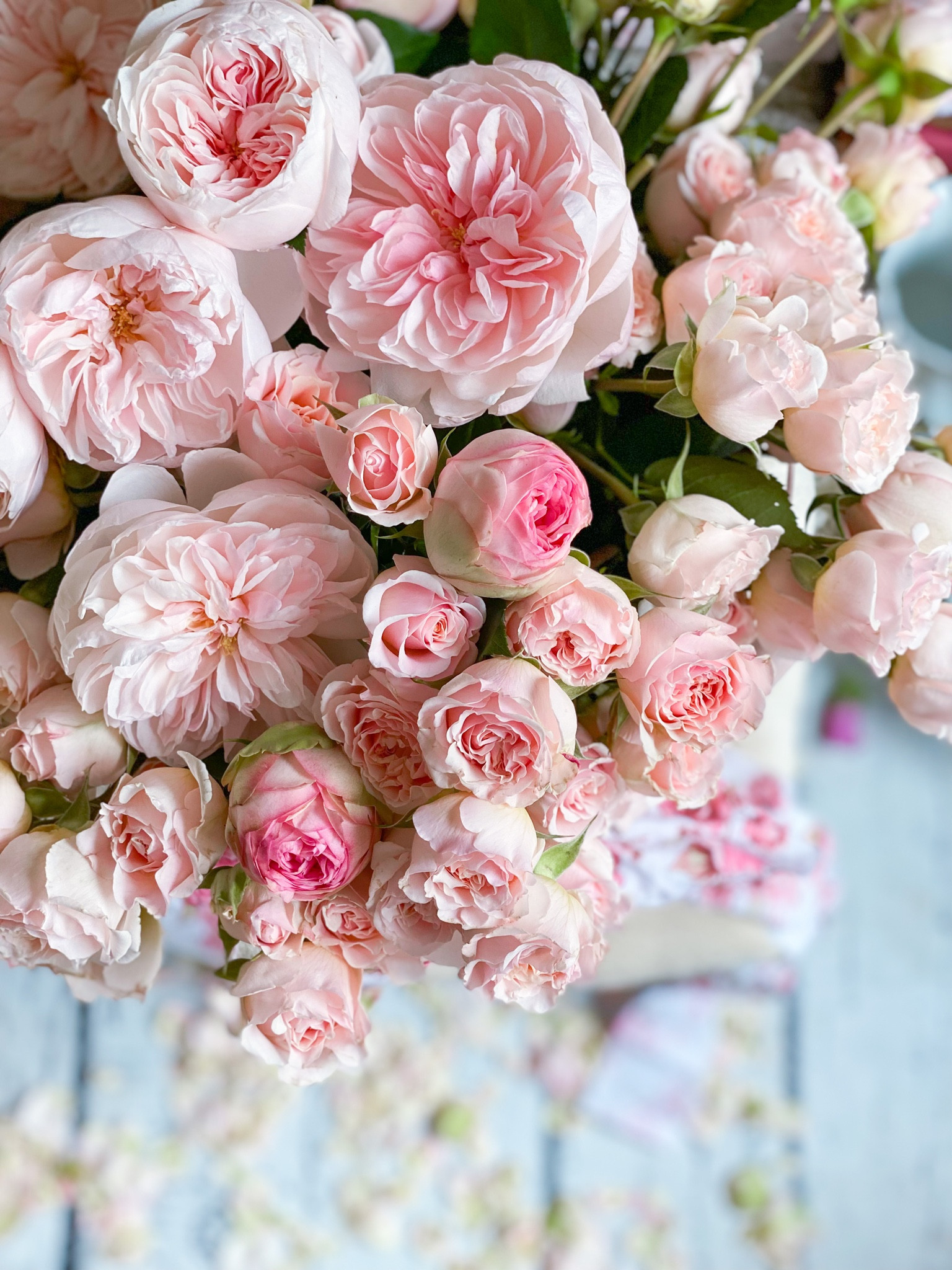 Blush roses for your summer 