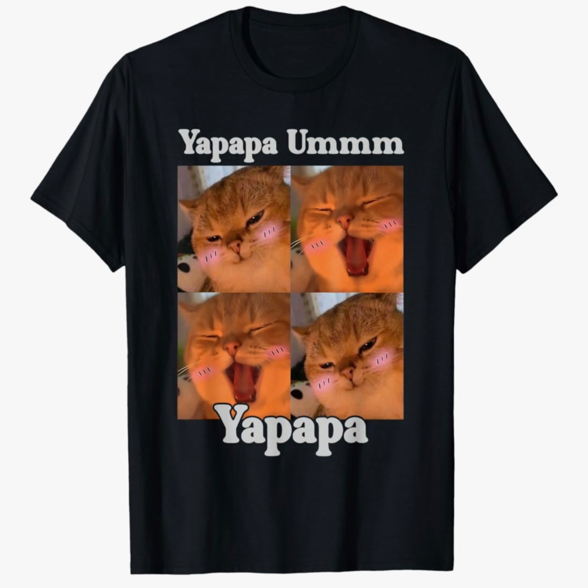 Yapapa Ummm Yapapa Funny Cat Meme Internet Joke Humor T-Shirt

#LTKSaleAlert #LTKU #LTKootd