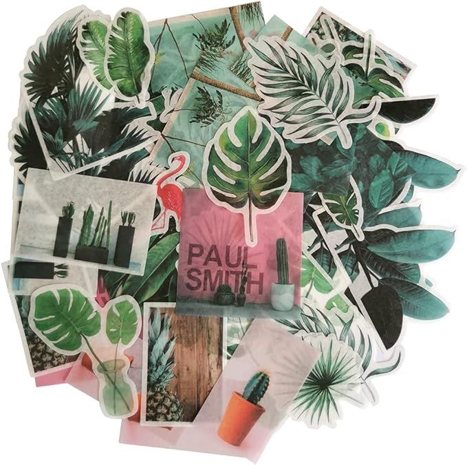 Green Plant Washi Sticker Set Forest Plants Monstera Palm Leaf Succulents Self-adhesve Stickers f... | Amazon (US)