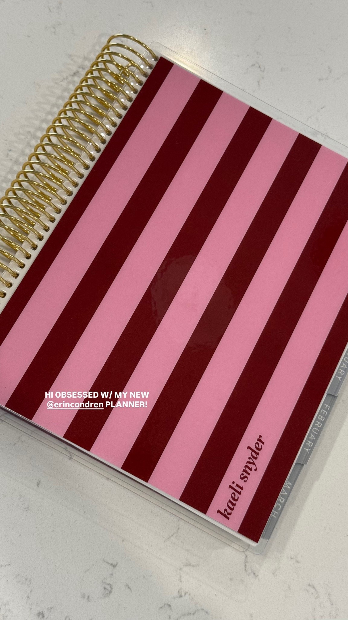 obsessed with my new 2026 planner!!!
