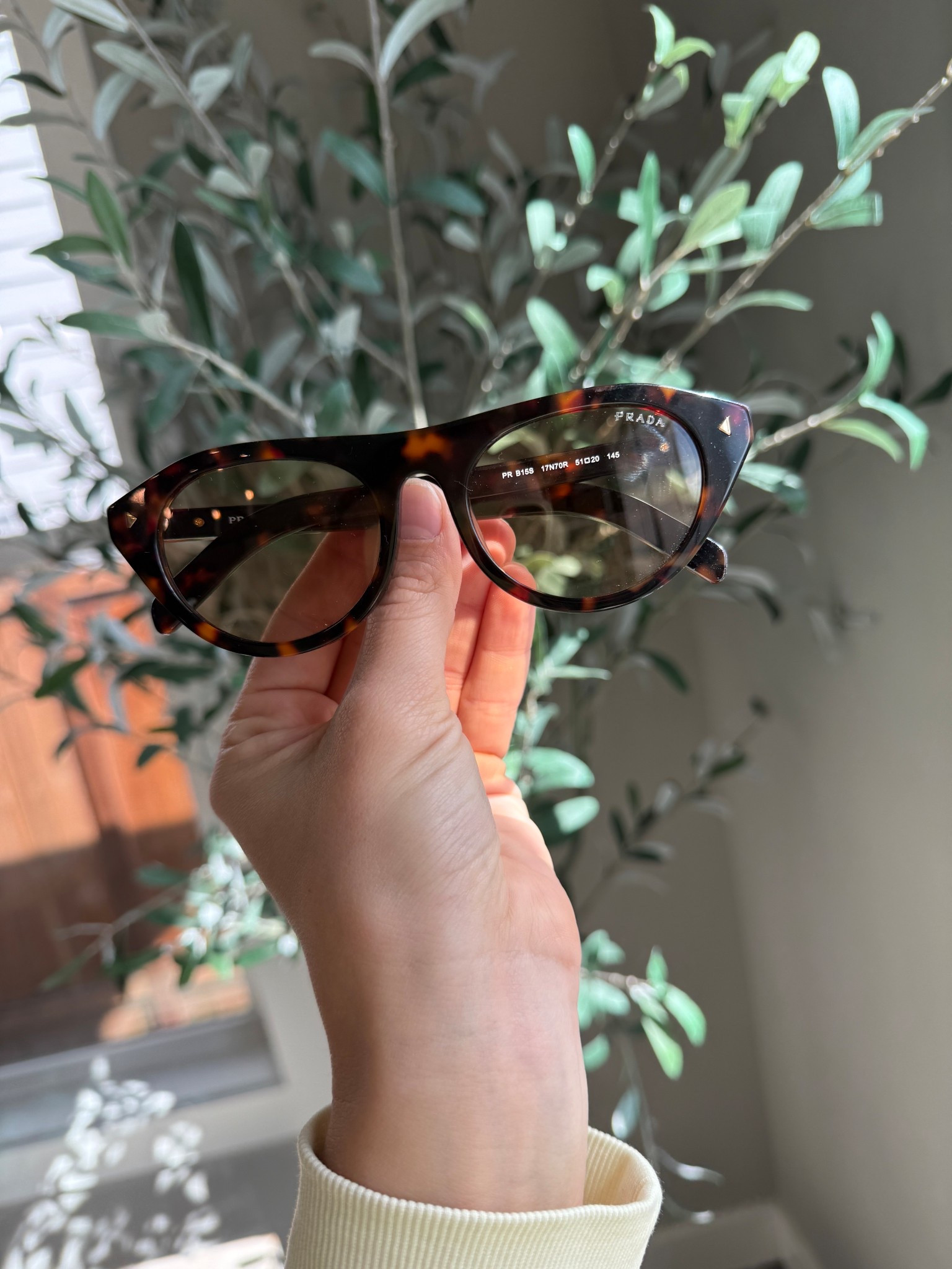 So excited because I found a very similar style of sunglasses that look almost exactly look my Prada glasses! The price is so good on these!

#sunglasses #amazon #lookforless #designerinspired #summer #accessories #ootd #festival #concert #outfit #glasses #bestseller 

#LTKFestival #LTKgrwm #LTKootd