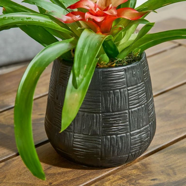 Better Homes & Gardens 5in Black Ceramic Brett Planter - Walmart.com | Walmart (US)