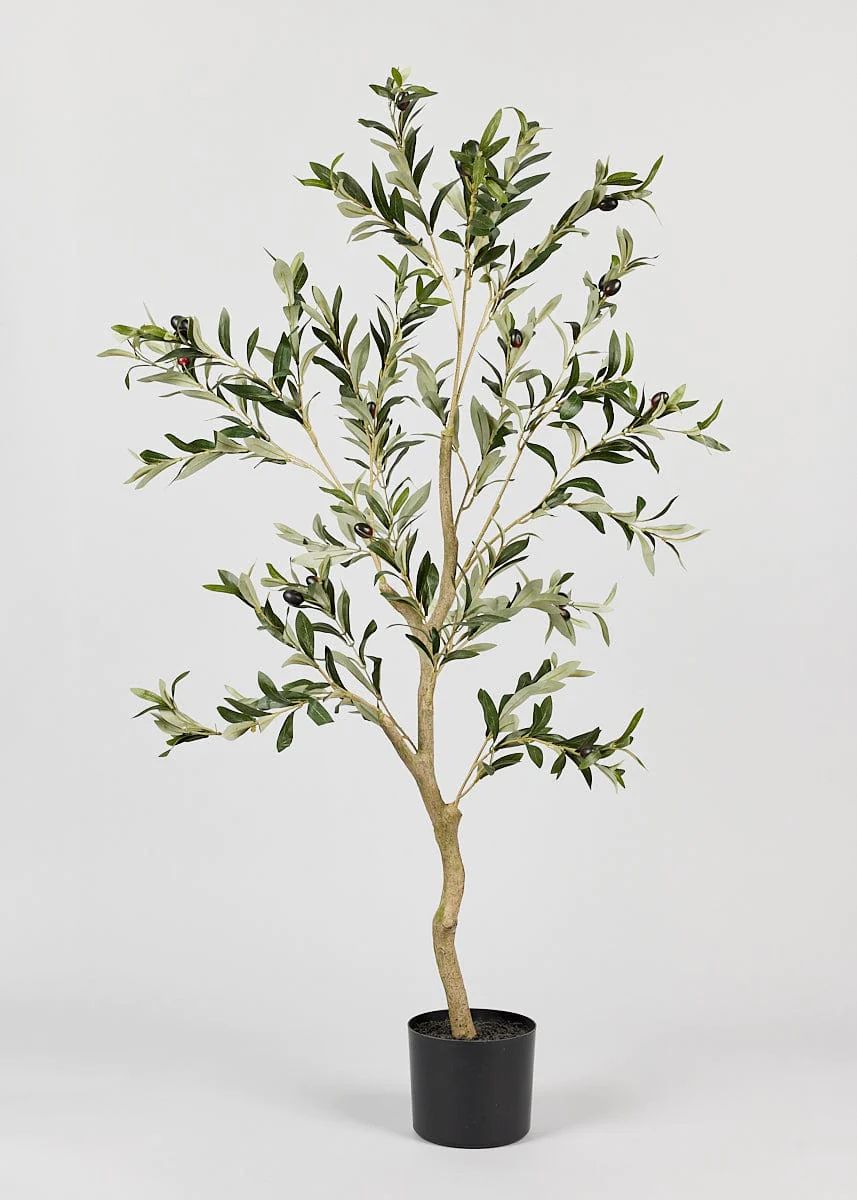 Artificial Potted Olive Tree Plant - 48" | Afloral