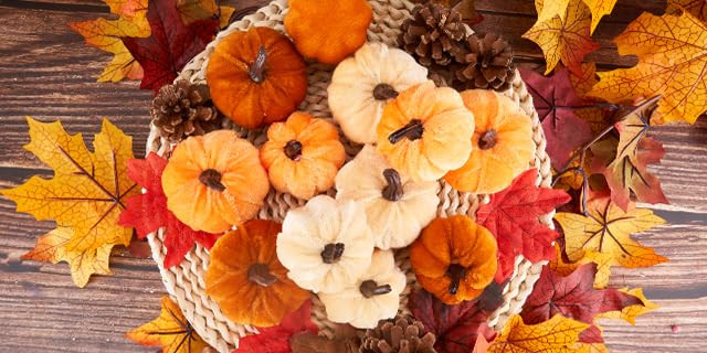 Amazon Fall | Amazon (US)