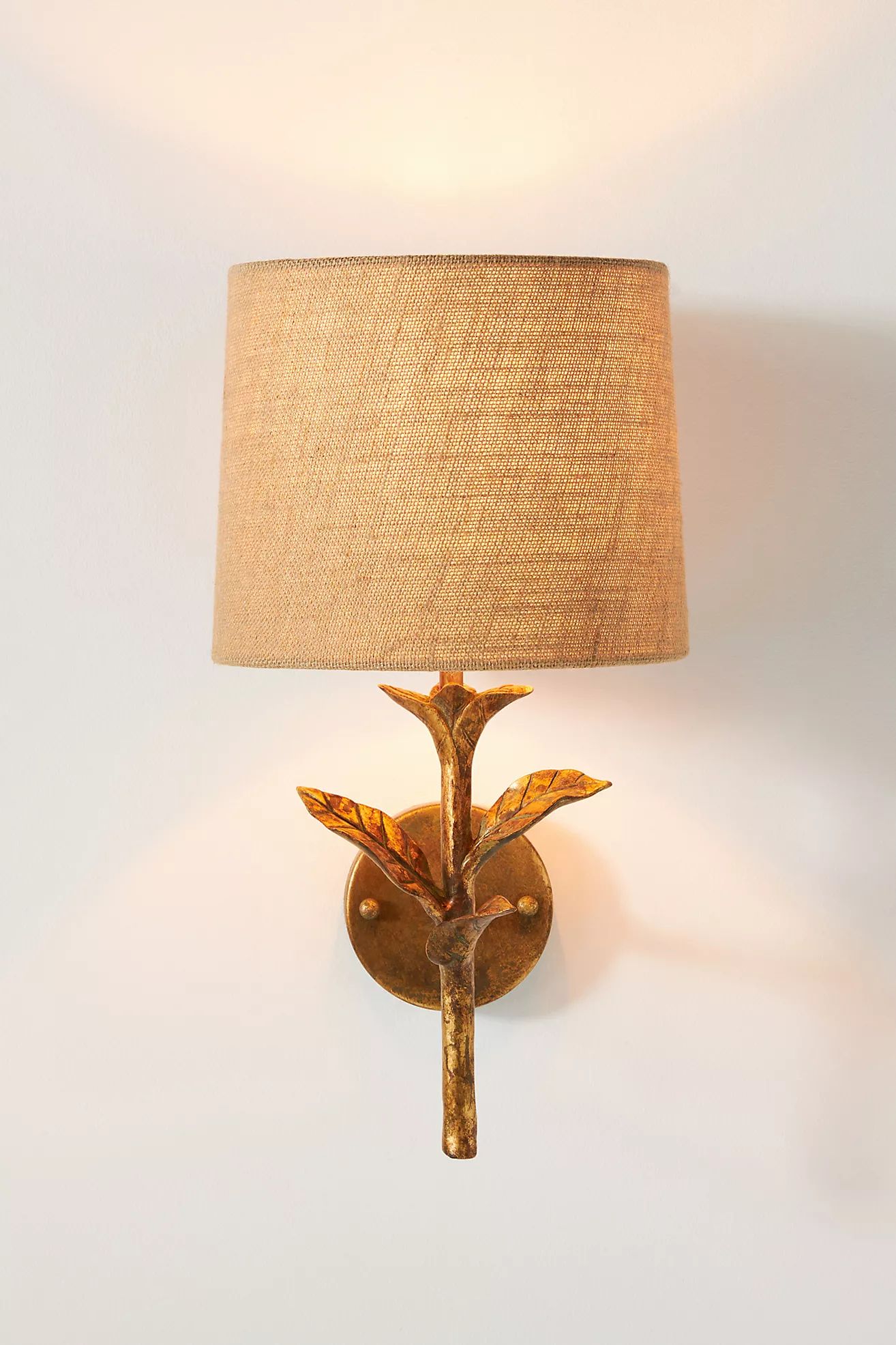 Grow Sconce | Anthropologie (US)