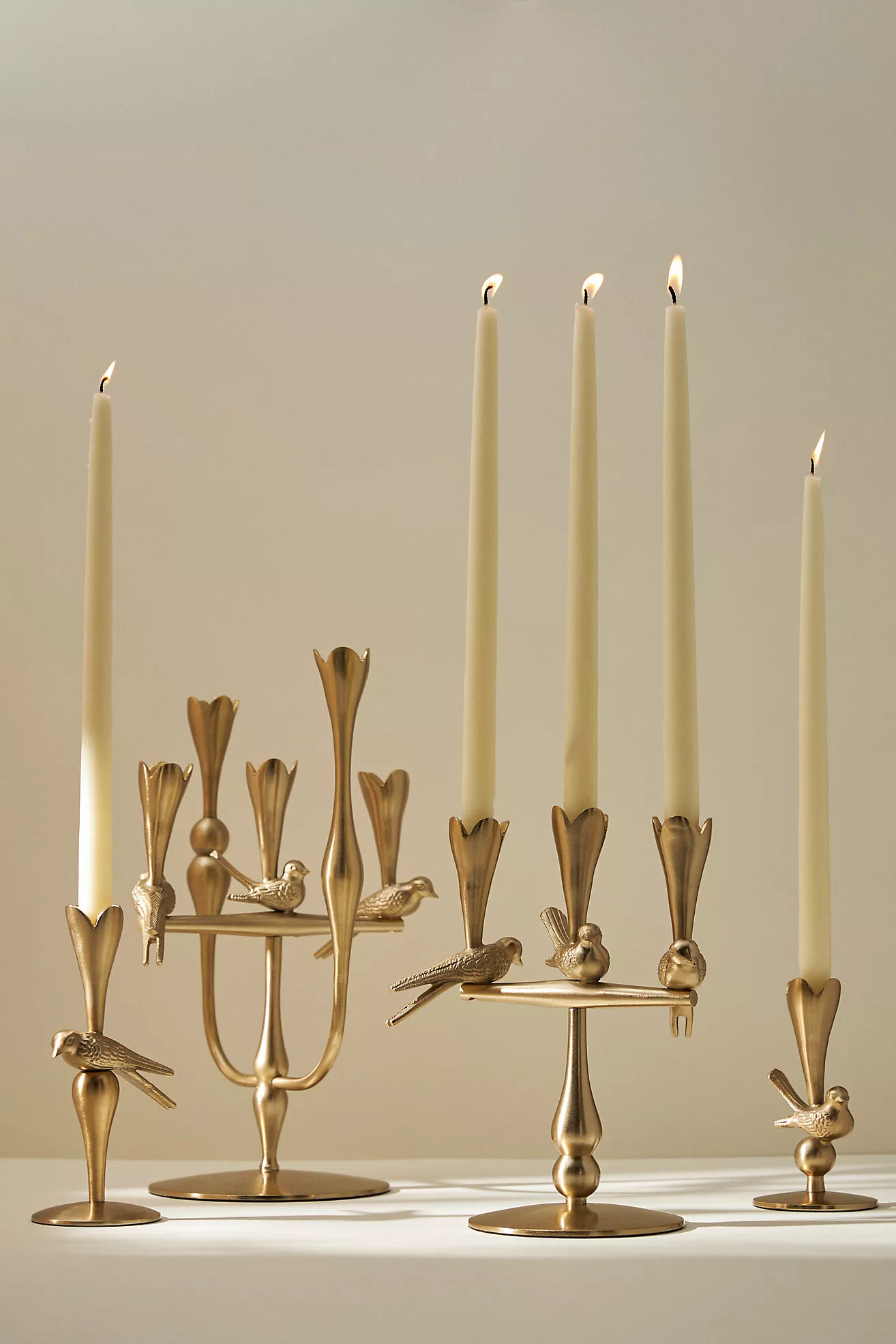 Marizia Sparrow Candle Holder | Anthropologie (US)