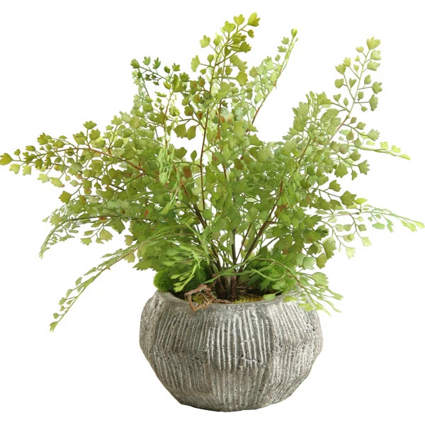 15'' Faux Fern Plant in Ceramic Planter | Wayfair North America