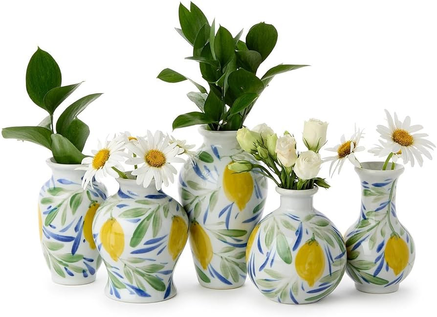 Two's Company Lemon Grove Set of 5 Hand-Painted Mini Lemon Vases, Multicolor | Amazon (US)