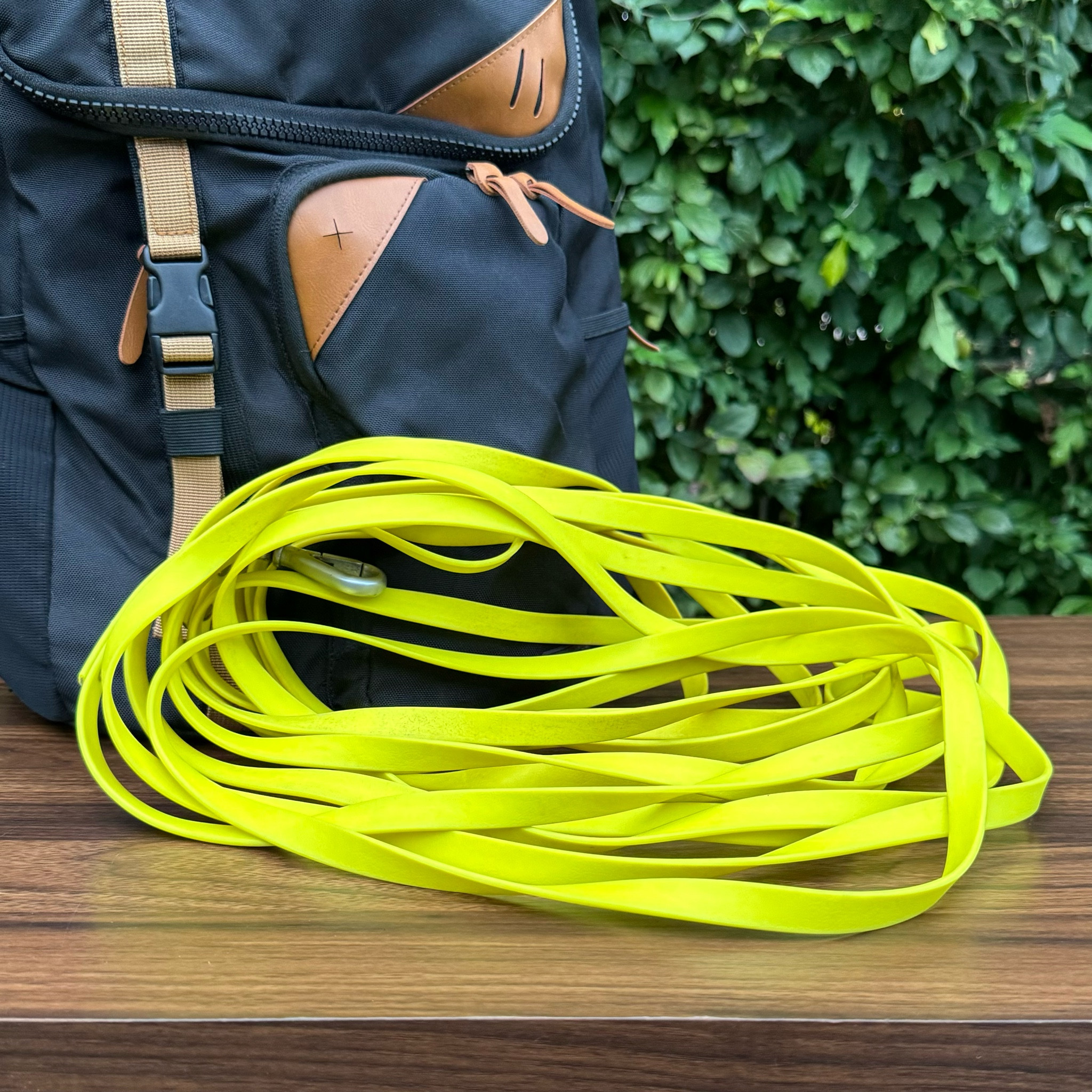 This biothane long line is the most affordable one I’ve seen! It comes in lots of colors and lengths. We love it for hiking, swimming, and even just as a tie-out. We have the 30 foot  