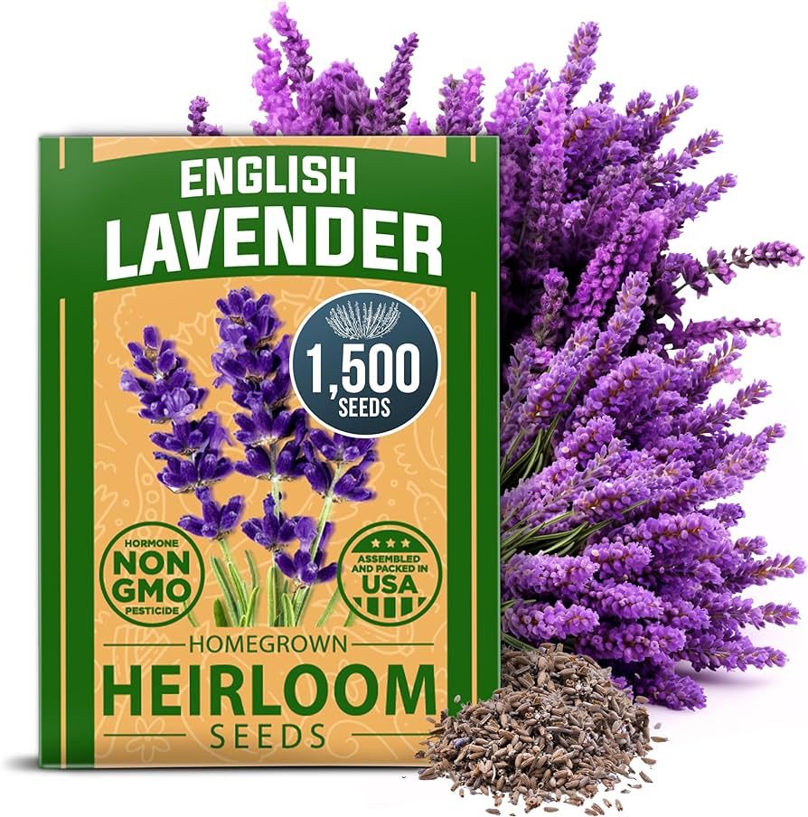 HOME GROWN Premium English Lavender Seeds | 1500 Non-GMO Herb Seeds | USA-Sourced Wildflower Seed... | Amazon (US)