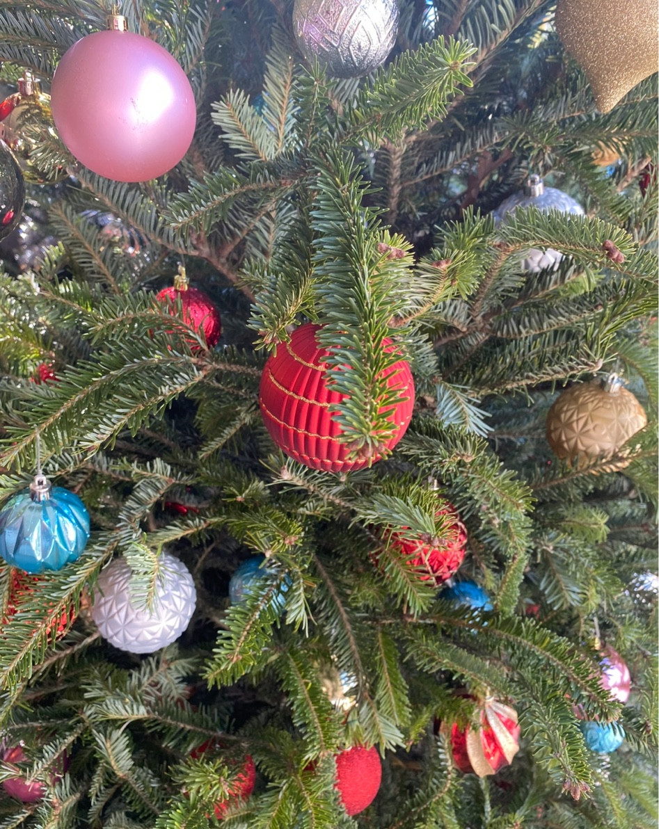 Fake Christmas tree recommendations 

#LTKhome #LTKHoliday #LTKSeasonal