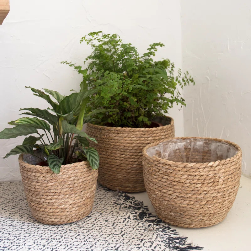 Geiser Seagrass Pot Planter Set Of 3 (Set of 3) | Wayfair Professional