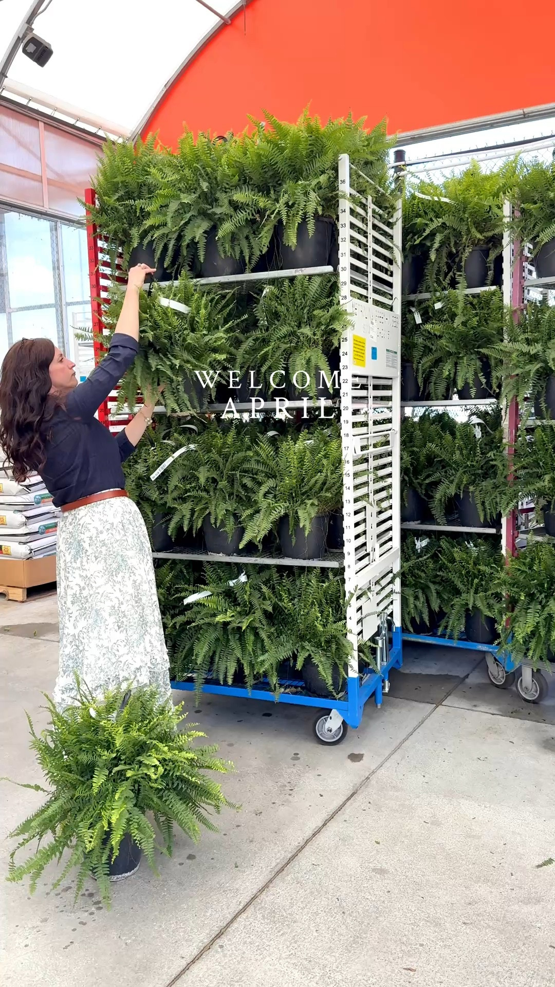 Spring has sprung  

#LTKHome #LTKSaleAlert #LTKSeasonal