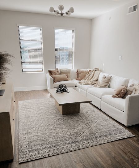 Condo living room, interior decor, neutral decor, home inspo, modern home, living area, family room