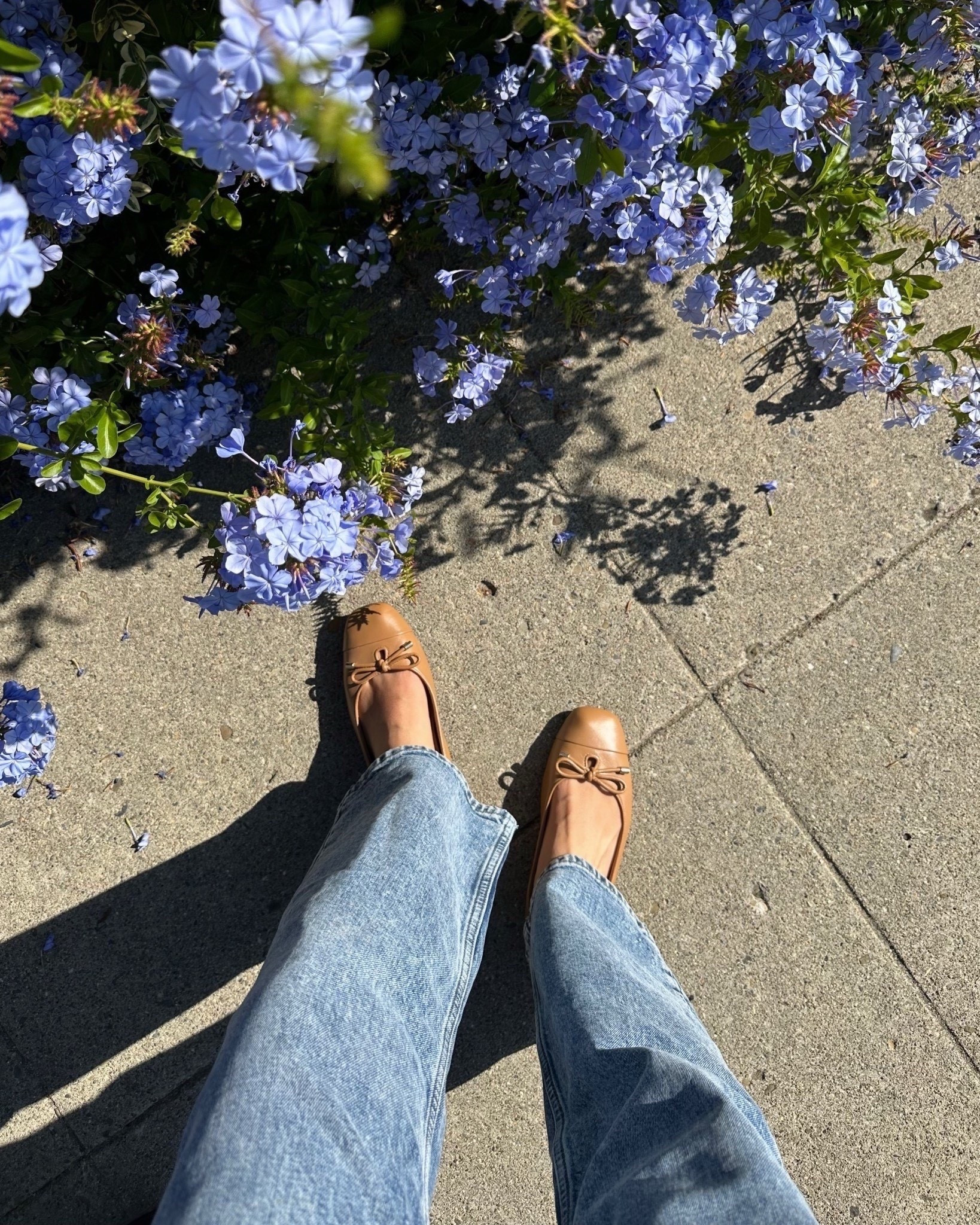 My most comfortable ballet flats - arch support & cushioned sole — on sale 

Vionic flats - tts, comes in lots of colors
BR mid rise relaxed jeans. I sized down one to 25 petite for a crop length & more of a fitted style. Loosens up when wearing 



#LTKSeasonal #LTKSaleAlert