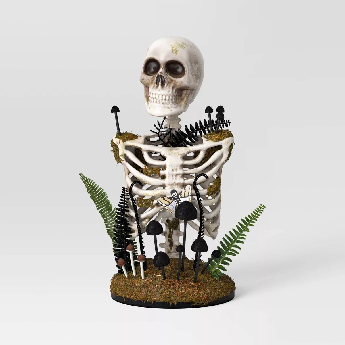 16.5" Plastic Skeleton Bust Halloween Decorative Prop - Hyde & EEK! Boutique™ | Target