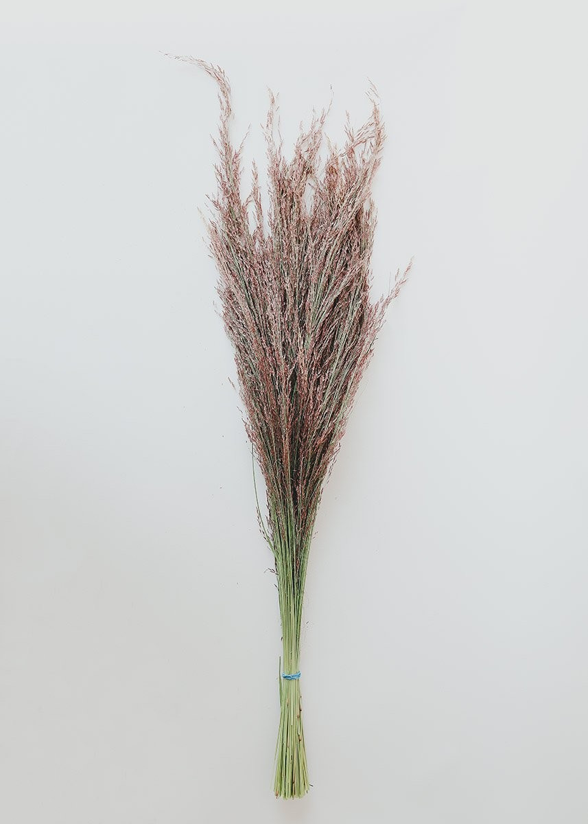 Dried Silk Grass in Pink - 20-26” | Afloral (US)