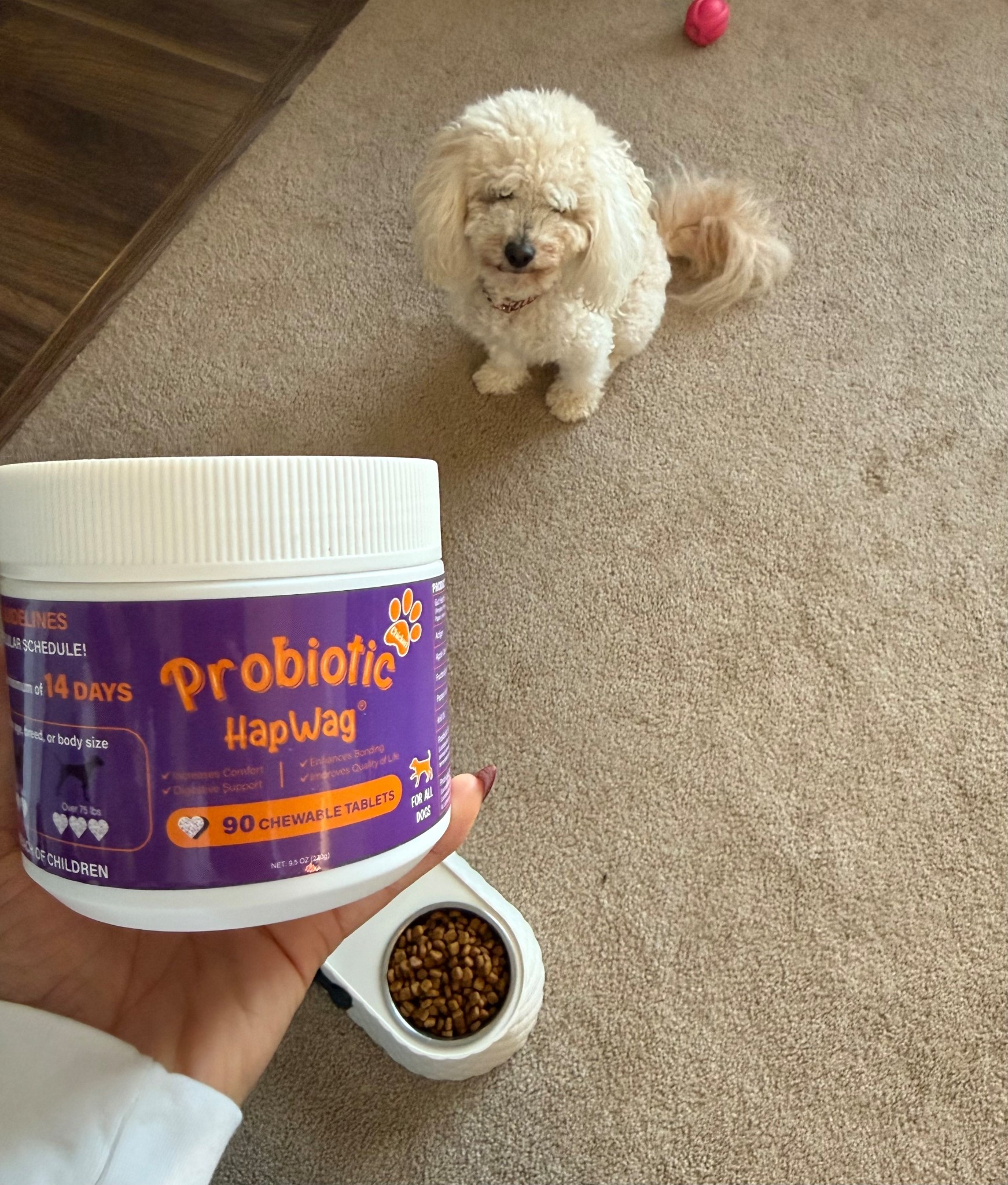 I only want the best for my pup. This supplement is perfect for all breeds and dog sizes. Available in pork and chicken flavors.  This chew supports a healthy digestive system, which increases healthy poo sessions. A happy gut means a happy pup. #dogsupplement #gutsupport #myfurbaby #toypoodle#LTKPets #LTKStyleTip

#LTKFindsUnder50