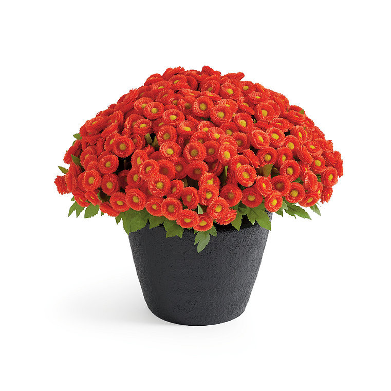 Mum Urn Filler | Grandin Road | Grandin Road