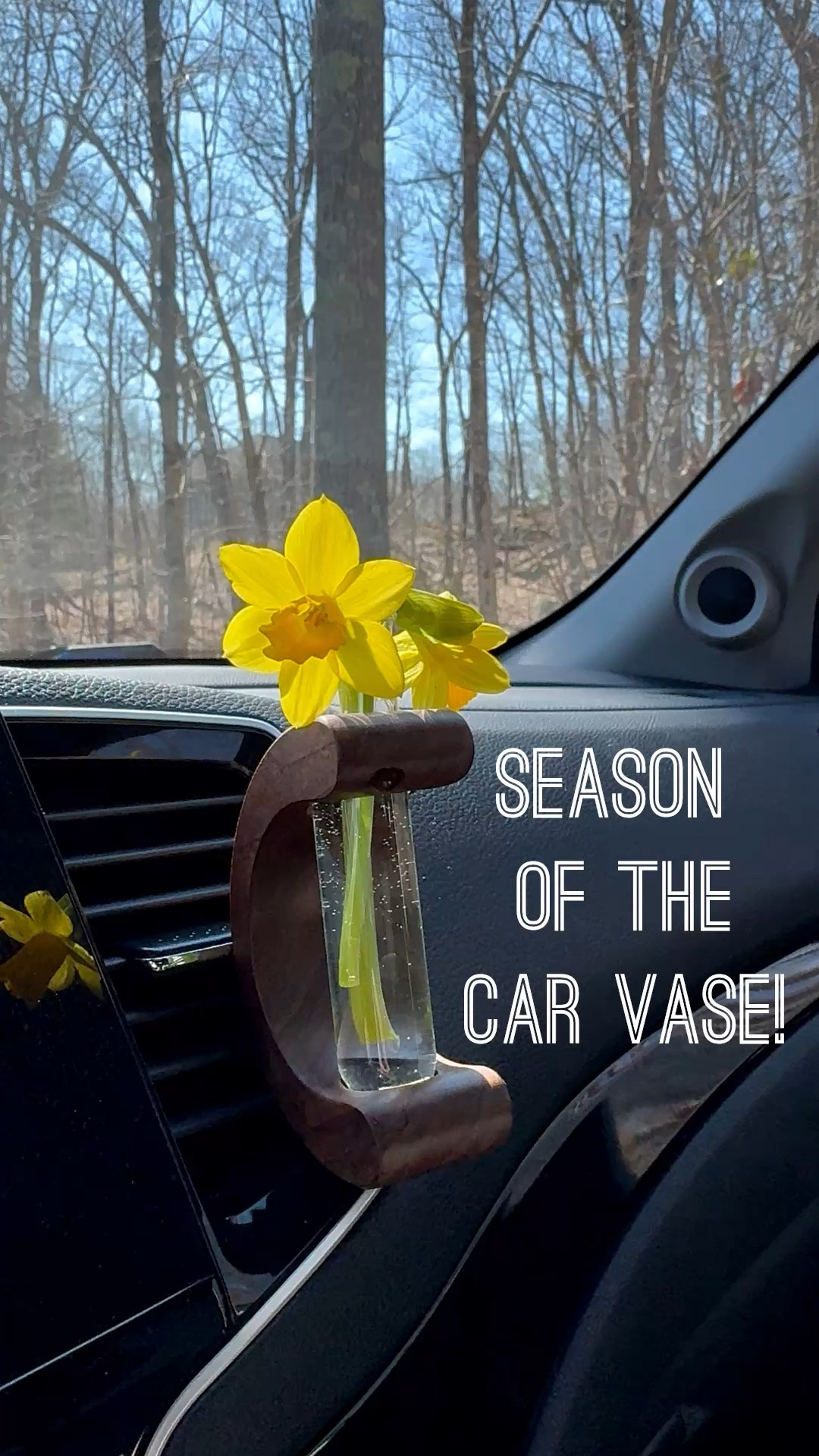 Love my car vase! Self care whimsy 

Linked various car bling 🌼

#LTKSeasonal #LTKdayinmylife #LTKselfcare