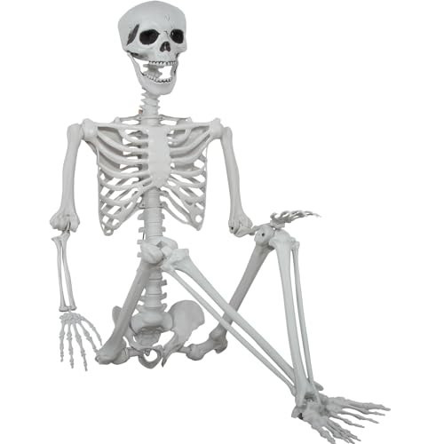 5.9ft Halloween Life Size Skeleton Realistic Full Body Skeletons Plastic Human Bones with Movable Joints for Halloween Props Spooky Party Decoration | Amazon (US)
